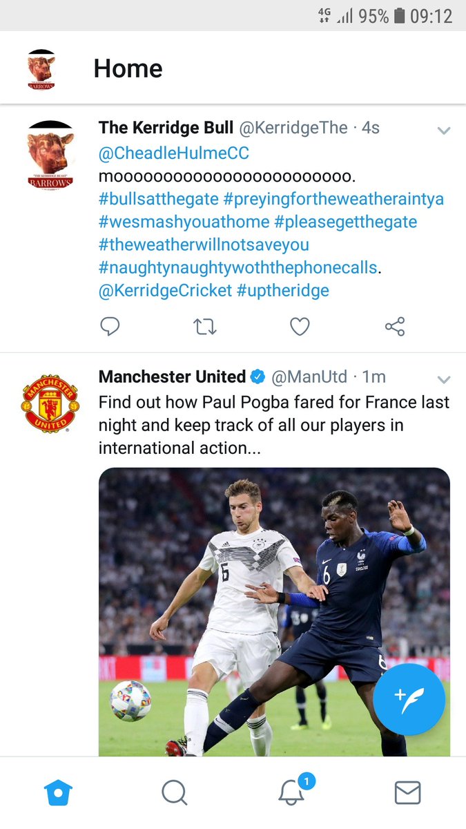 The Kerridge Bull tweet media