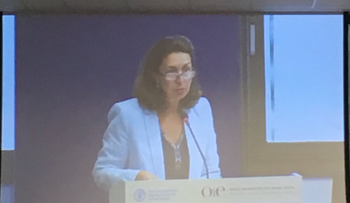 Monique Eliot DG ⁦@OIEAnimalHealth⁩ acknowledges a.o pharmaceutical companies for their efforts in developing effective and innovative vaccines for a achieving #pestedespetitsruminants PPR-FREE world ⁦@animalhealthEU⁩ ⁦@Health4Animals⁩ ⁦⁦@FAOBrussels⁩