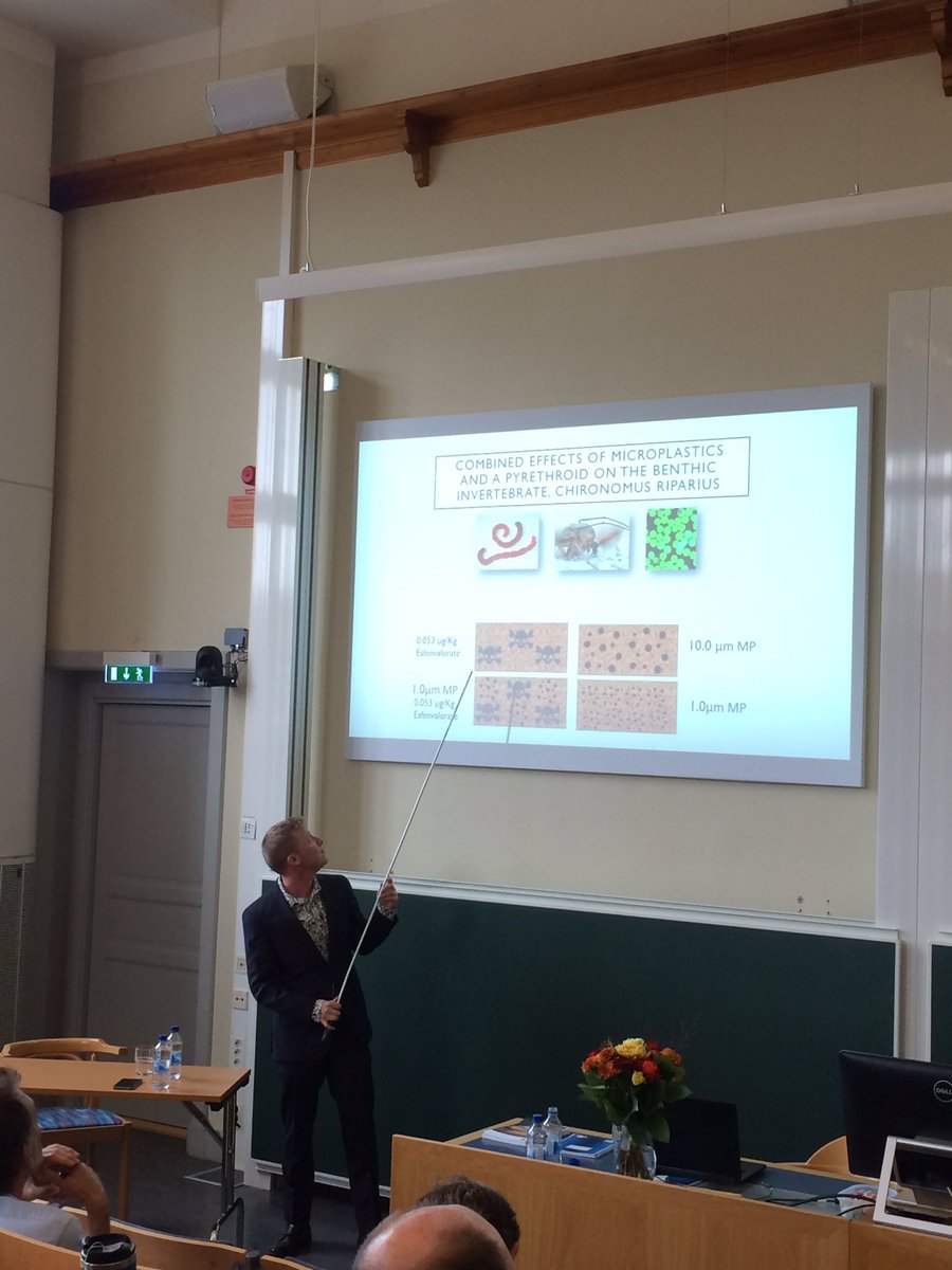 AnimEcol_UU's tweet image. Chapter III of @WarrenKunce thesis analyses the combined effects of #microplastics and a #pyrethroid: they have an adverse effects on a benthic invertebrate under low food conditions.