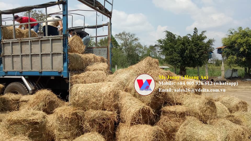 Rice straw rolls for animal
#animal
#ricestraw