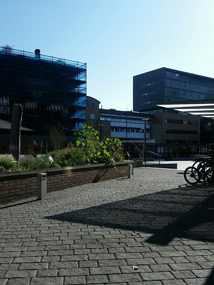 opentocreate's tweet photo. Looking forward to a day of #creativecoaching #leadershipcoaching @LSBU_Enterprise @lsbu with the #graduateentrepreneurs stunning sunshiney day for it https://t.co/O1JEAKmgi8