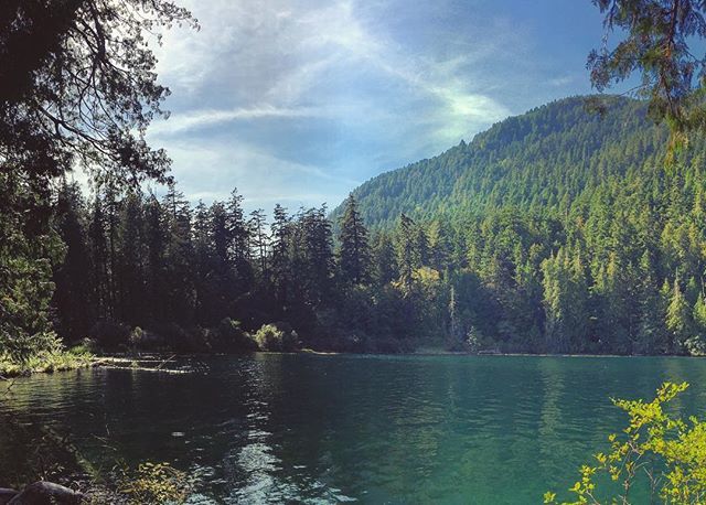 jdbphotouk's tweet photo. Seattle ✅ 
Vancouver Island✅
Vancouver...
.
.
.
| Cameron Lake, Canada| 
#jdbphoto #vancouverisland #cathedralgrove #cameronlake #macmillanpark #beautifullake #forest #travelling #wanderlust #canadaphoto #mycanon #earthpix #discoverearth #lensdistort… https://t.co/LVuMPiPM0b https://t.co/BvyBDwvt57