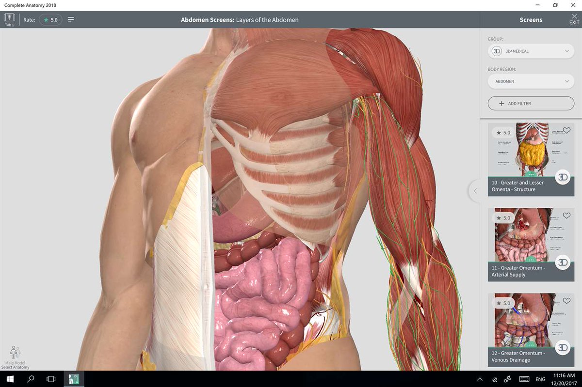 complete anatomy app windows