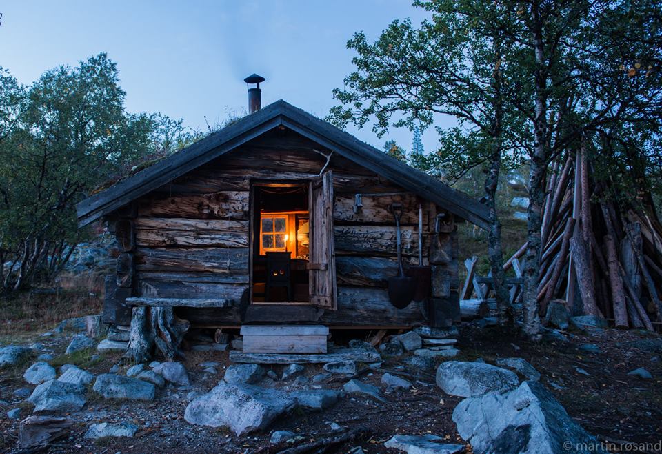 Elusive Moose tweet media