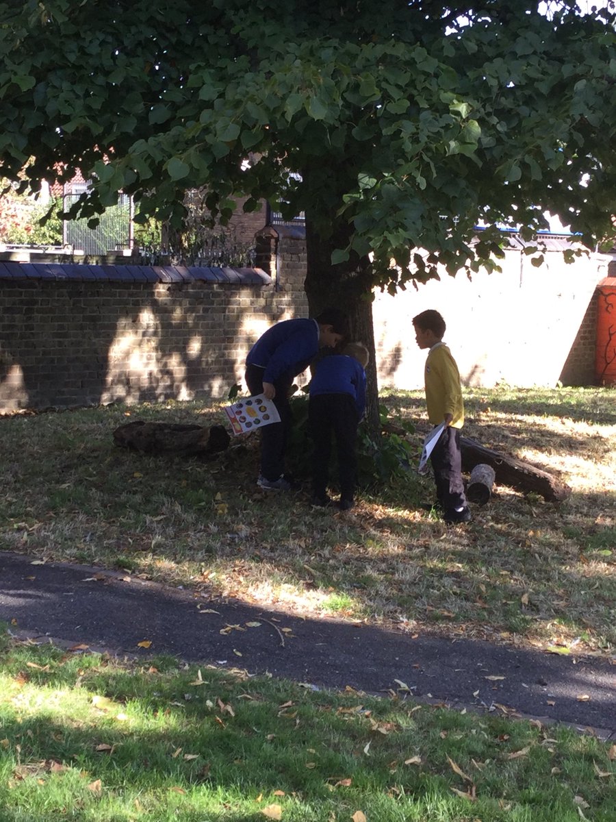 LarkHallPrimary's tweet photo. Year 3 are exploring what signs of Autumn are already in our playground! π±πβοΈπ³π #lhmillenium #lhsouthwark #lhstu #lhyear3 #lhforrestschool https://t.co/E7pNcJ8Pvq