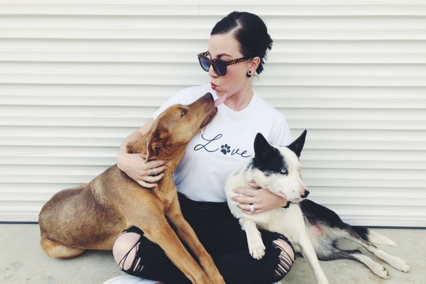 holidayingwithdogs tweet media
