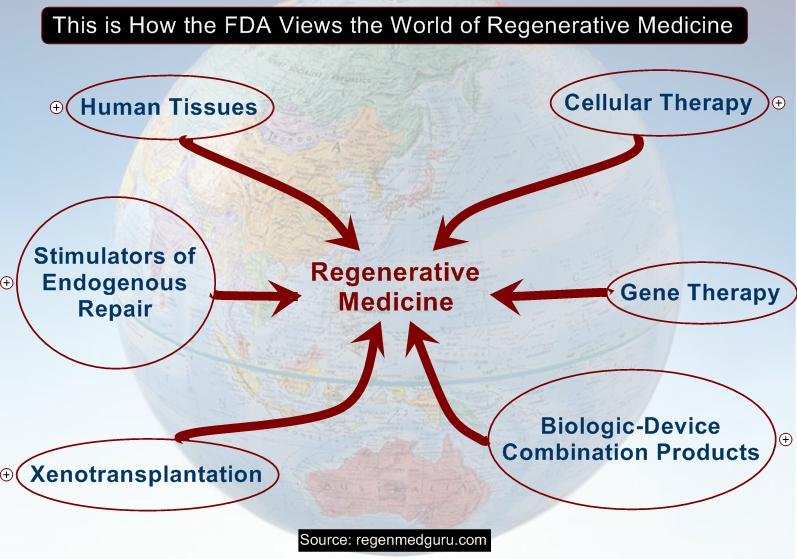 drug_designing's tweet photo. #RegenerativeMedicine
Regenerative medicine is a branch of translational research in tissue engineering and molecular biology which deals with the "process of replacing, engineering or regenerating human cells, tissues or organs.
https://t.co/tGhvFUYCPU https://t.co/JWJJjkxhyA