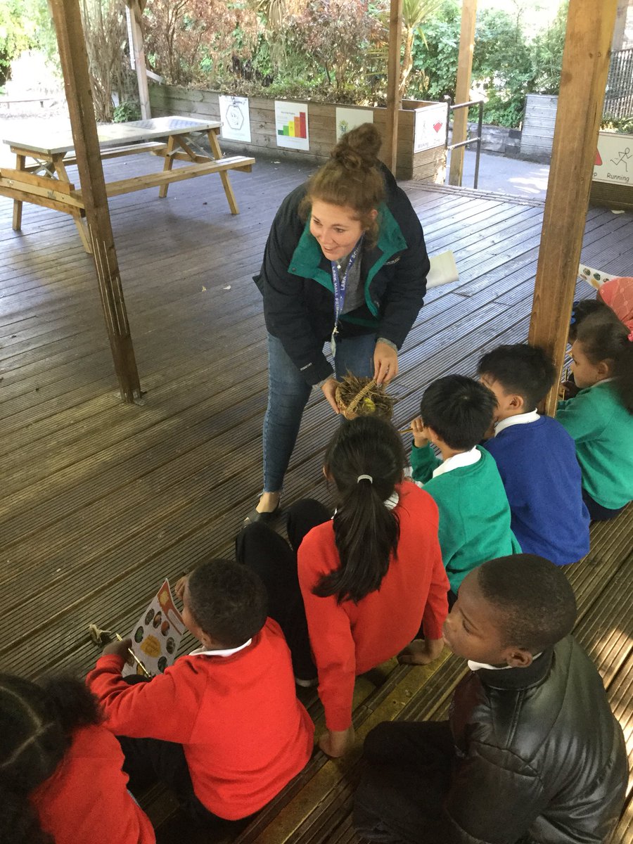 LarkHallPrimary's tweet photo. BREAKING NEWS! Year 3 have found a mysterious egg in the playground! What could it be!? π€·πΎββοΈπ€·π½ββοΈ #lhsouthwark #lhmillenium #lhyear3 https://t.co/8K12GqrSak