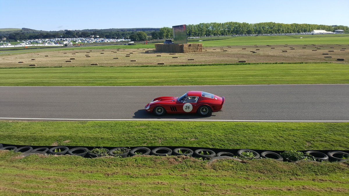 bigmikem11's tweet photo. It doesnt get any btter than goodwood on a summers day..@goodwoodrevival #revival18 #Ferrari #250Gto https://t.co/0urng6qSuE