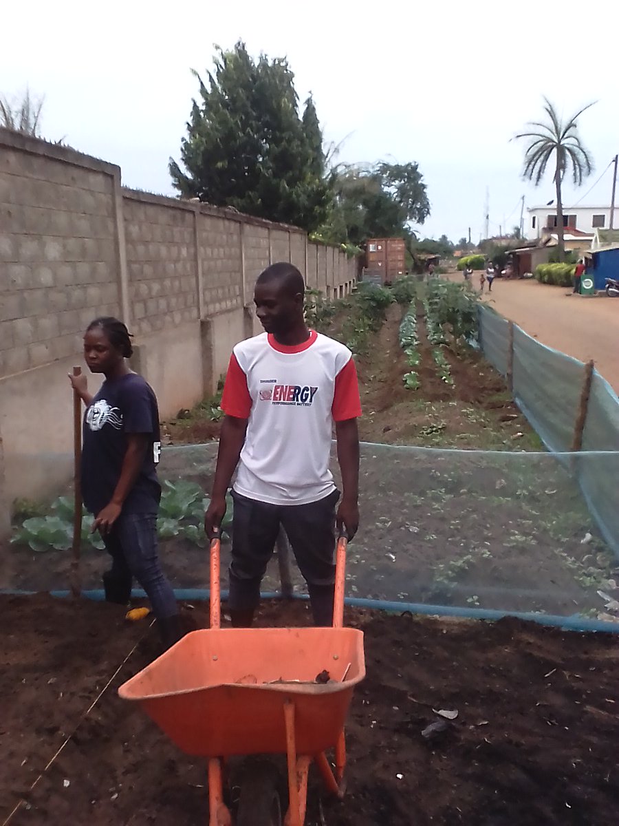 TMislem's tweet photo. Séance de #déserbage sous les choux; #d'assainissement et #confection des palanches dans le prolongement de l'ancien #potager près de @woelab. @NoukalaK  @KwakuNobo  @TchodieFidel  @TIKOUM3 @senamekoffi  @SoouEliza  @we_SCoPE https://t.co/FwOlBR2gj9