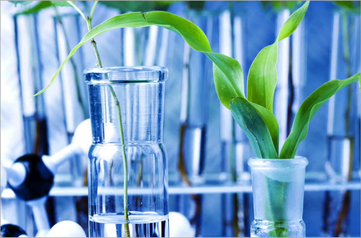acpb2019london's tweet image. #ACPB2019 #PlantScience2019 #PlantScienceConference @London 
Share your research work on #PlantScience and explore your knowledge at #ACPB2019
For more details Download the brochure at: acpb2019.com/brochure