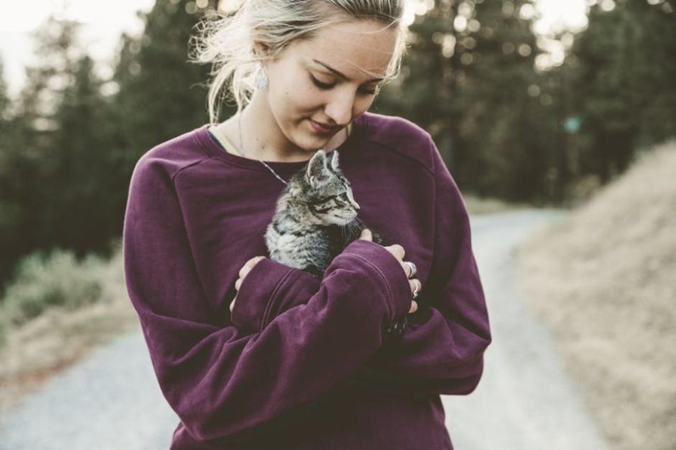 Vous ne savez pas quoi faire à la rentrée ?
Câlineur·neuse de chat en Irlande ! Ou bien candidater chez ChaPacha pour la fin d’année 😜
buff.ly/2LXh5eW