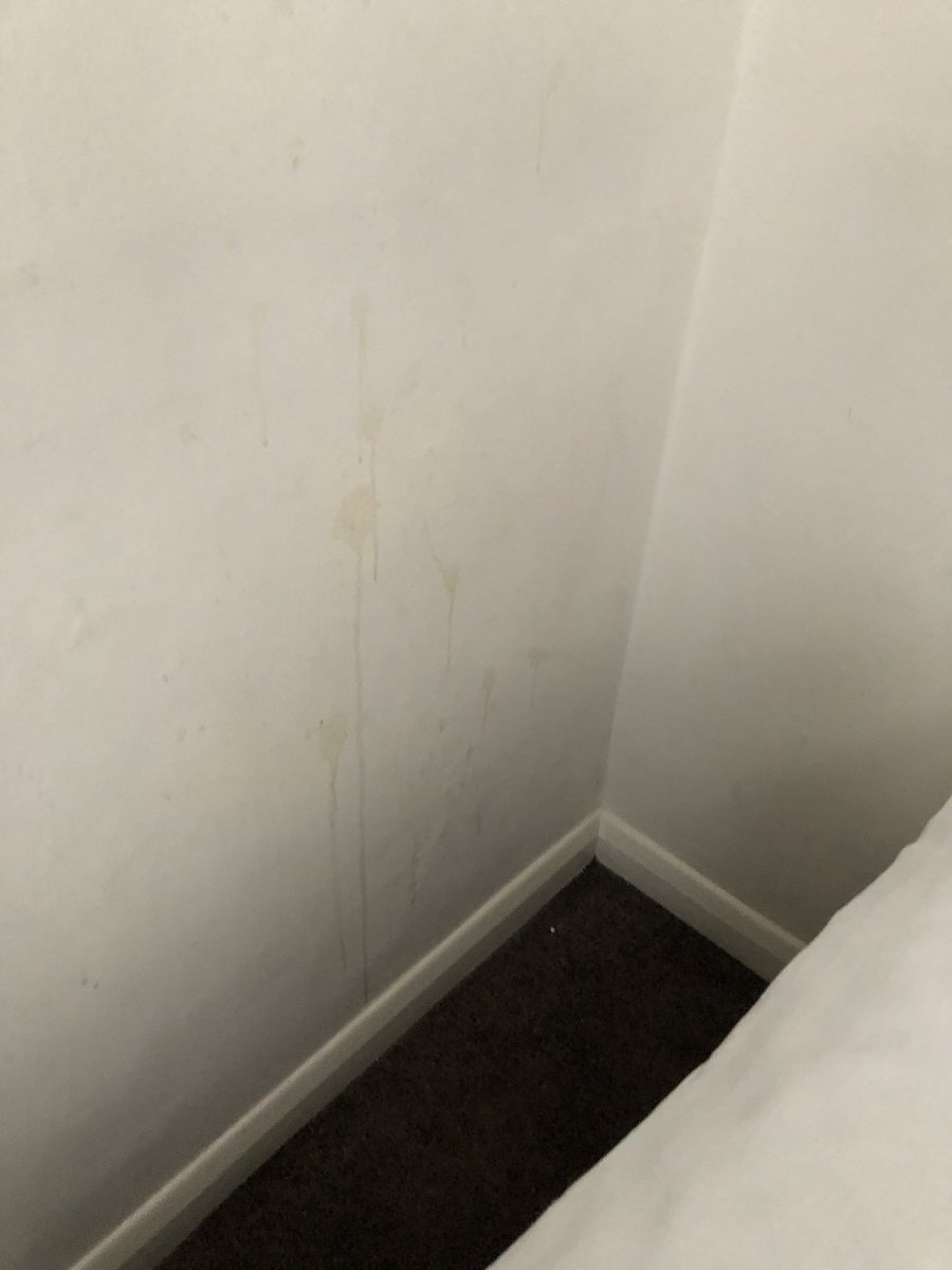NatiniNatini's tweet photo. 😂😂😂 found this on the hotel room wall, right by my bed. #hotelsfromhell eat your heart out @GordonRamsay https://t.co/NQlJ3h3SPN