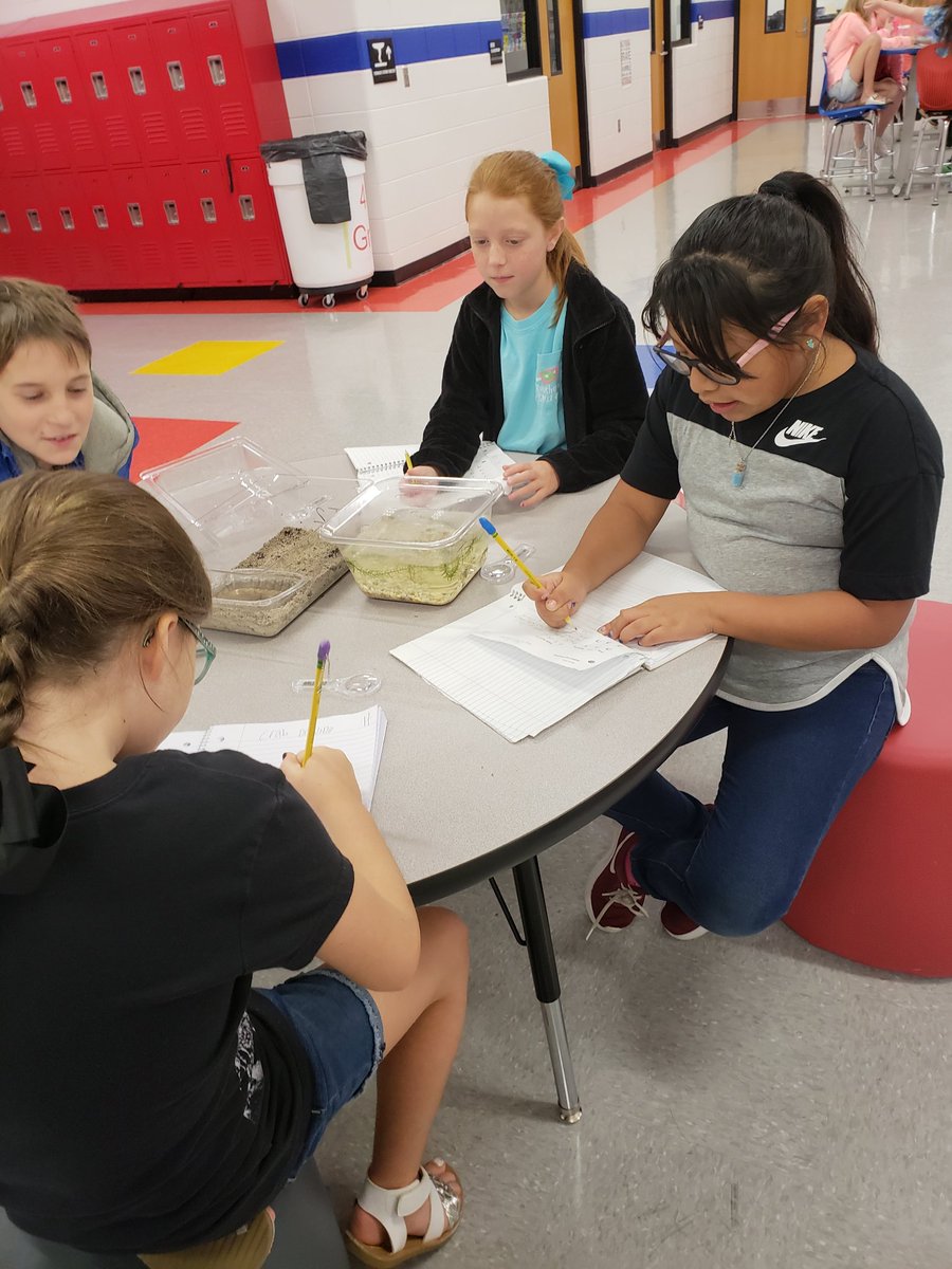 cctownsend05's tweet photo. 4th graders are observing, drawing, and caring for their animals today. 😁@SugarCreekElem @MrMattTaylor @cleobmiller @AMSTI_Athens https://t.co/zImY5zVplP