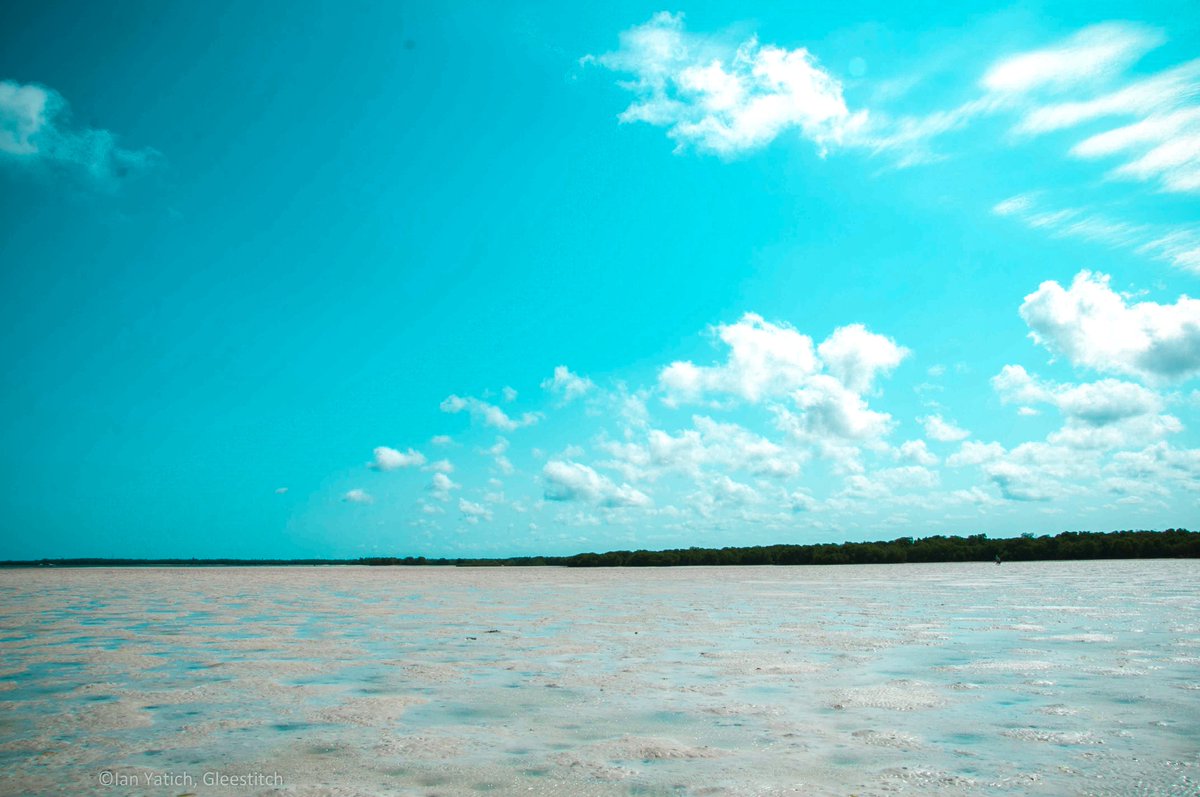Gleestitch's tweet photo. North and South coast, Kenya

Photos by @IanYatich 
#Travel #Photography #TravelPhotography #PhotoOfTheDay #Journey #Voyage #Kenya #MagicalKenya #CaptureKenya #UnexpectedKenya #Vsco #VscoKenya #TourKenya #TourAfrica #OnTheRoad #Africa #AfricaTourism https://t.co/MrAD6WiduD