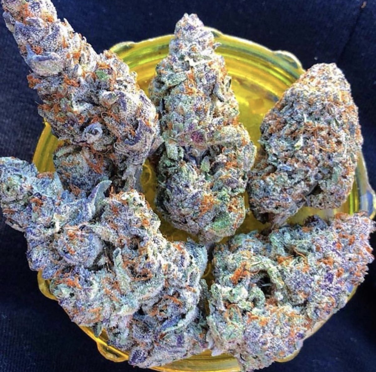 “Cannabis is just way too healthy for a sick health care system.”

- Sebastian Marincolo

#LegalizeMarijuana