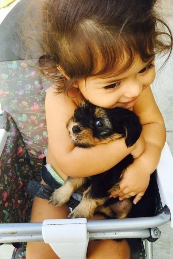SNithurshaan's tweet photo. Animal lover https://t.co/mTrn00fba5