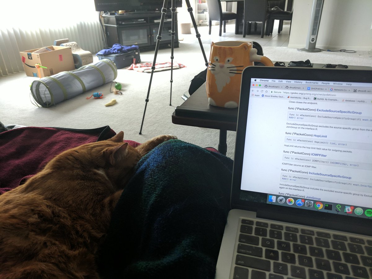 snehainguva's tweet image. WFH status #purrprogramming