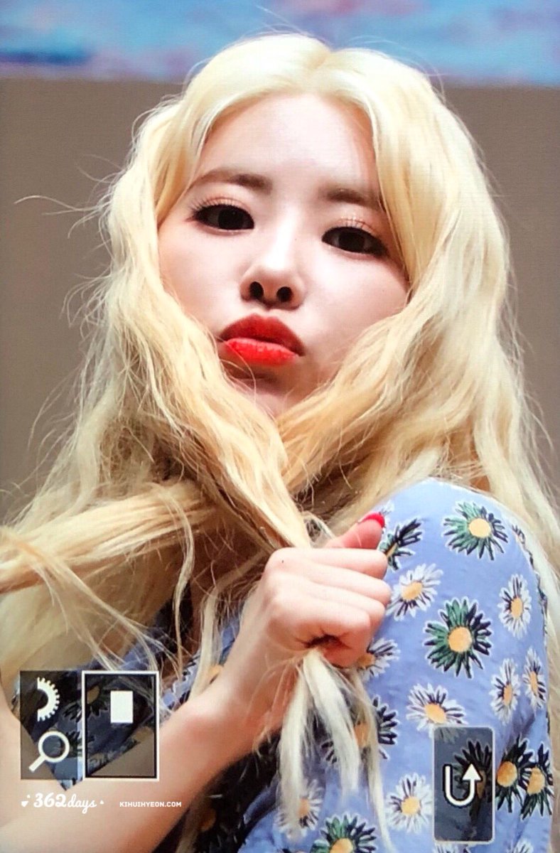 362Days's tweet photo. 180907 아트홀봄 팬사인회 프리뷰

#희현 #기희현 #HUIHYEON #다이아 #DIA https://t.co/E8DX9U111s
