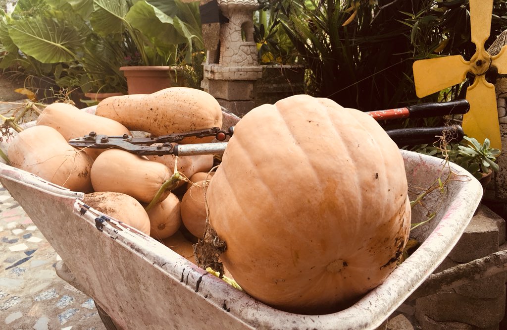 ¡Hoy toca puré de calabaza!😋 
¿Quién se apunta?