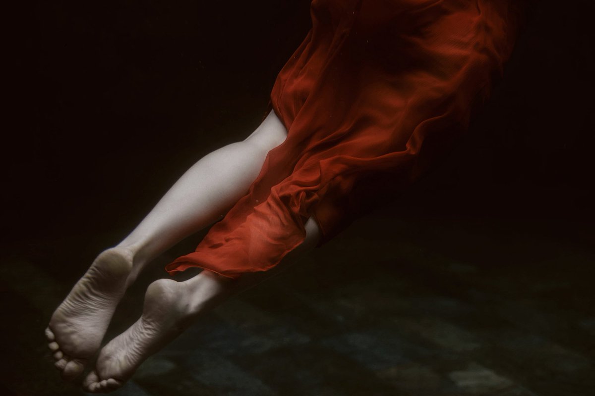 Take More Photos tweet media