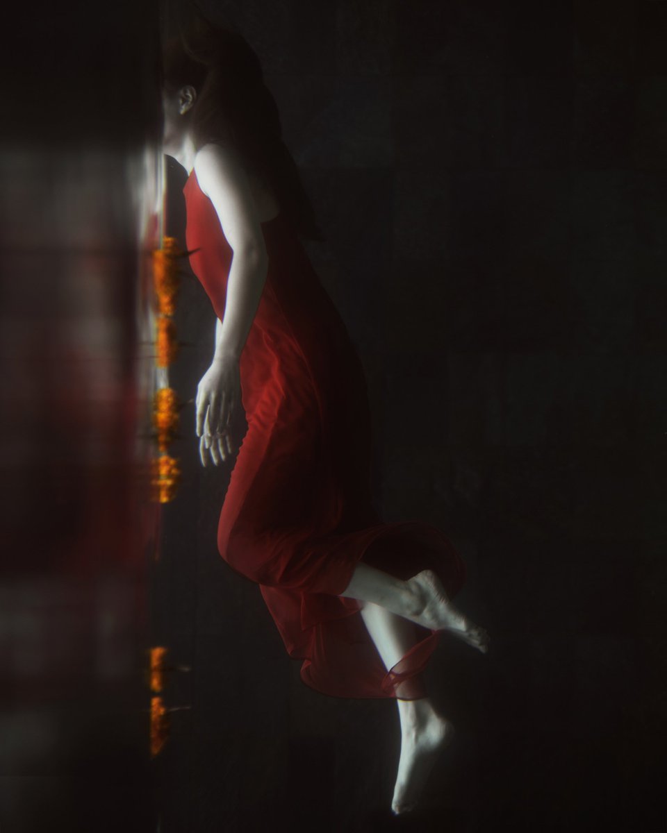 Take More Photos tweet media