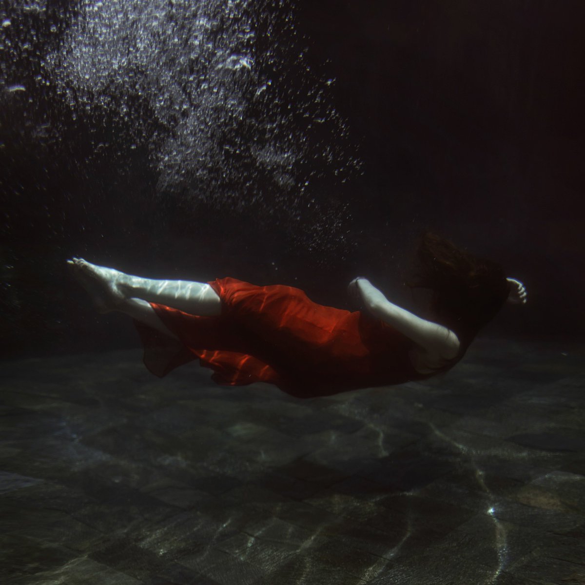 Take More Photos tweet media