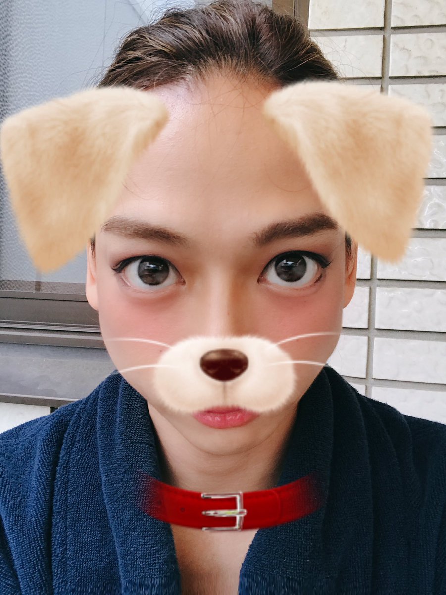 池田純矢 最近のカメラアプリは性能が凄すぎてびっくり ネット上に数多出回ってる可愛い女の子とかカッコいい男の子とか 大概がこの 犬とか猫とかできゅるるんっ したみたいな しかも最近は動画もこのきゅるるんっで撮れるらしい 知ってると思いますけど 池田純矢 最近のカメラアプリは性能が凄すぎてびっくり ネット上に数多出回ってる可愛い女の子とかカッコいい男の子とか 大概がこの 犬とか猫とかできゅるるんっ したみたいな しかも最近は動画もこのきゅるるんっで撮れるらしい 知ってると思いますけど
