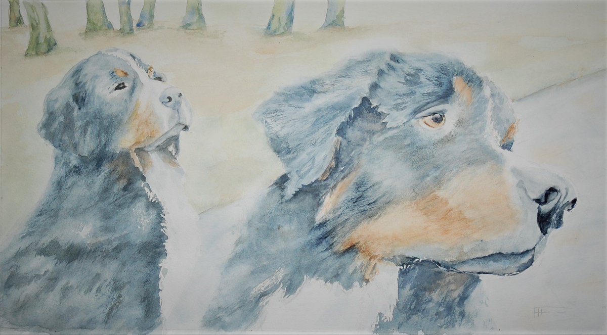 BenFontein's tweet photo. Roos en Bertus in aquarel
Atelier Ben Fontein https://t.co/1CXz9YkrpL