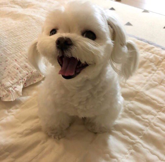 Sir Franklin (@sirbfranklin) on Twitter photo 