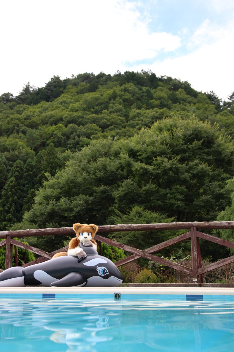 yasan_mofumofu's tweet photo. 夏のプールサイド
#FursuitFriday
#TDOS2018 https://t.co/EvU4LpJfXD