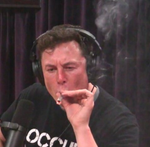 BuzzFeed Russia tweet media