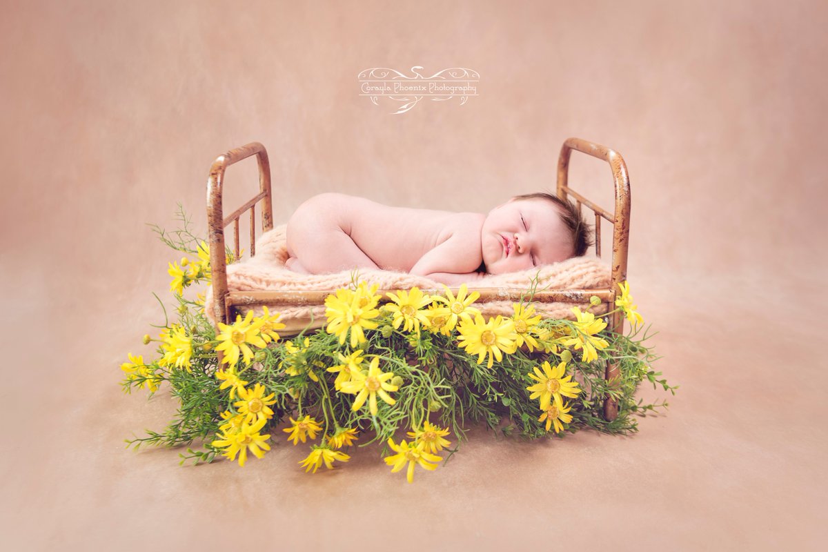 CoraylaPhoenix's tweet photo. Little Princess xxx

#gorgeous #baby #newborn #princess #beautiful #sleeping #sleepingbeauty #Brisbane #northlakes #photographer #portrait #love #family https://t.co/cO1owYSATK