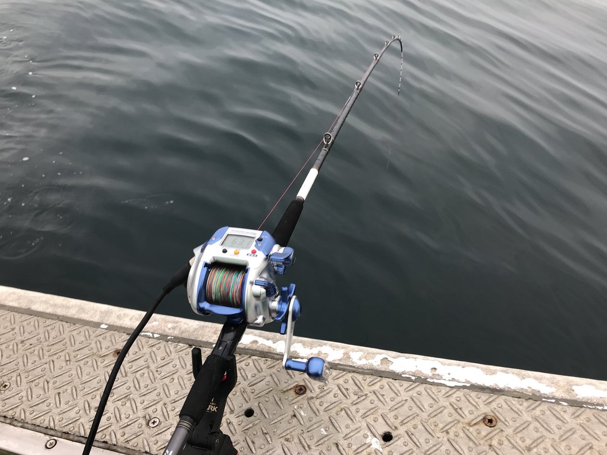 901 No Twitter 今日はこの夏最後の夏休みを頂き またまた釣りへ 深場五目の釣船 に乗船するも 出船前から深場は釣れてないと聞かされ 1 2時間で諦めて浅場のヒラメ釣りへ変更 結果ヒラメ10枚 外道のイナダ1本となりました 孔明丸 鳥の海 荒浜 ヒラメ 901 No Twitter 今日はこの夏最後の夏休みを頂き またまた釣りへ 深場五目の釣船 に乗船するも 出船前から深場は釣れてないと聞かされ 1 2時間で諦めて浅場のヒラメ釣りへ変更 結果ヒラメ10枚 外道のイナダ1本となりました 孔明丸 鳥の海 荒浜 ヒラメ