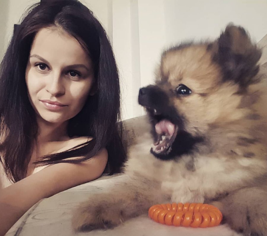 dogsandmasters's tweet photo. This is Picaso (3 months), a #Pomeranian from Bulgaria, with his master Desislava. 

He likes: Lying on his back, do some trainings with his owner and playing with his doll (also named Picaso 😂).

He doesn´t like: When Desislava is..
Read more: https://t.co/M5UCVOcBMl
#doglovers https://t.co/iQTozemu2E
