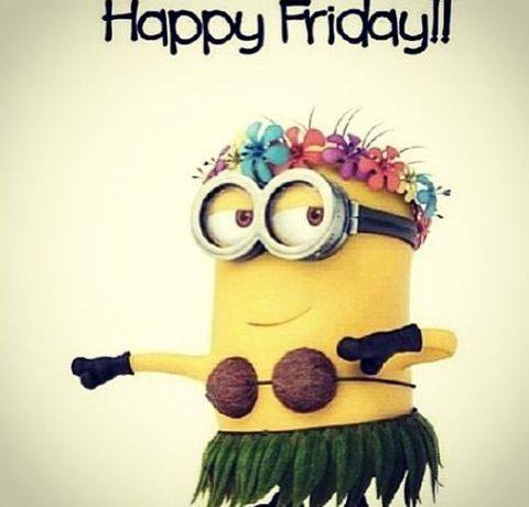 Mardons Carnival Club (@mardonscc) on Twitter photo 