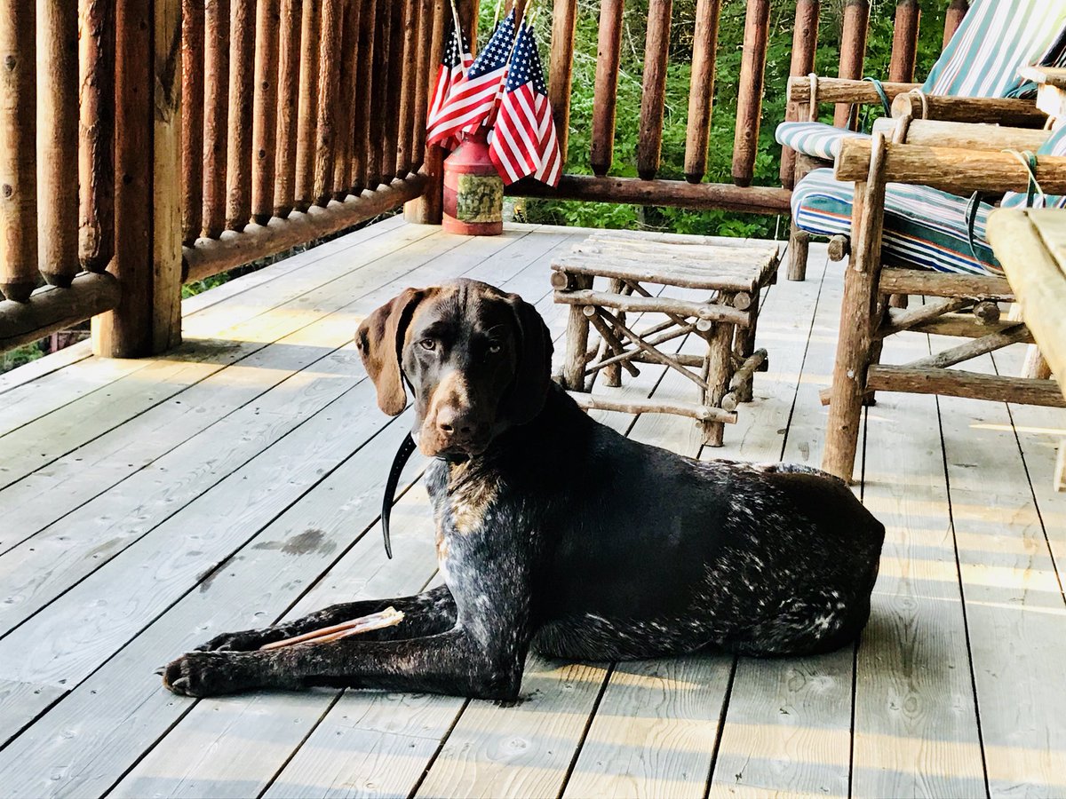 Tkel2's tweet photo. #BeanOutsider #LLBeanContest18 https://t.co/3EPKaXM6xc