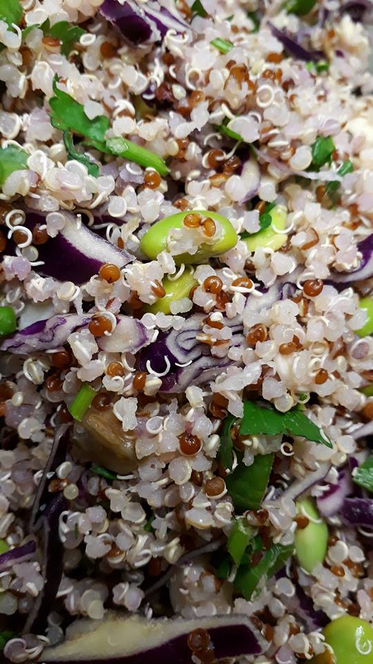 Just two of the luscious salads on offer in the café today. #FridayFeeling #vegan #vegetarian #salads #allergyfriendly