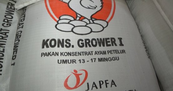 Nilai Tukar Dolar Menguat, Harga Pakan Ayan Petelur Naik dlvr.it/QjQn0S