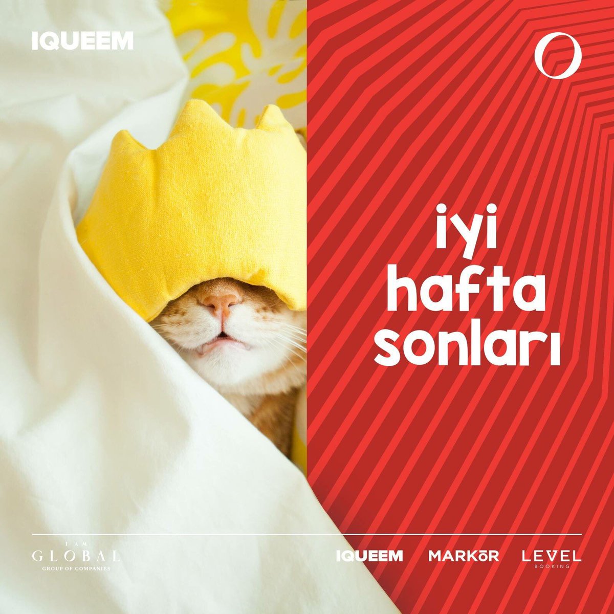 IQUEEM tweet media