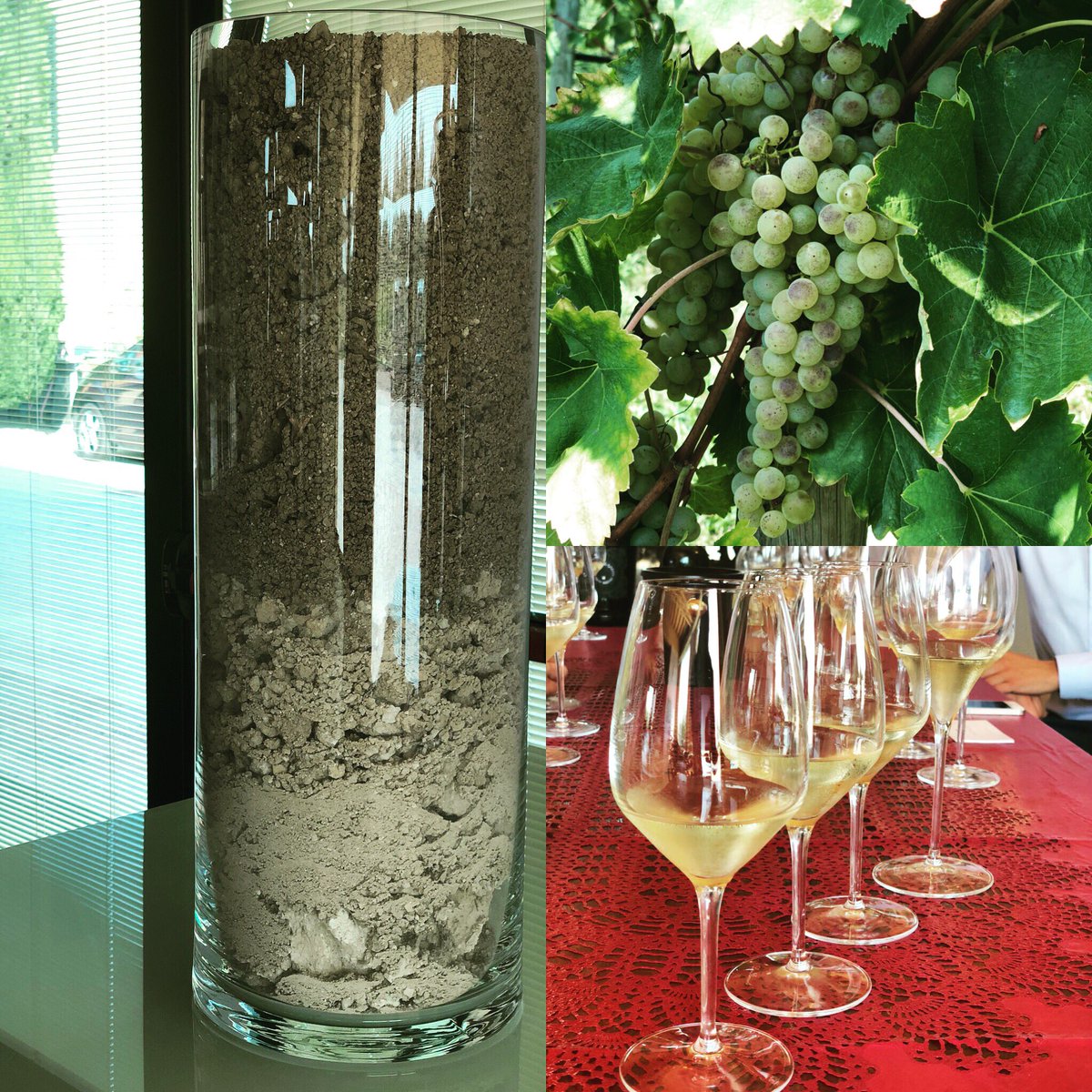 consorziolugana's tweet photo. The LUGANA, a SOIL, a WINE! #tempodivendemmia #savelugana #argilla #claysoil #luganalover #vinobianco #turbiana #lugana #DOC https://t.co/cOIN1dT7dh