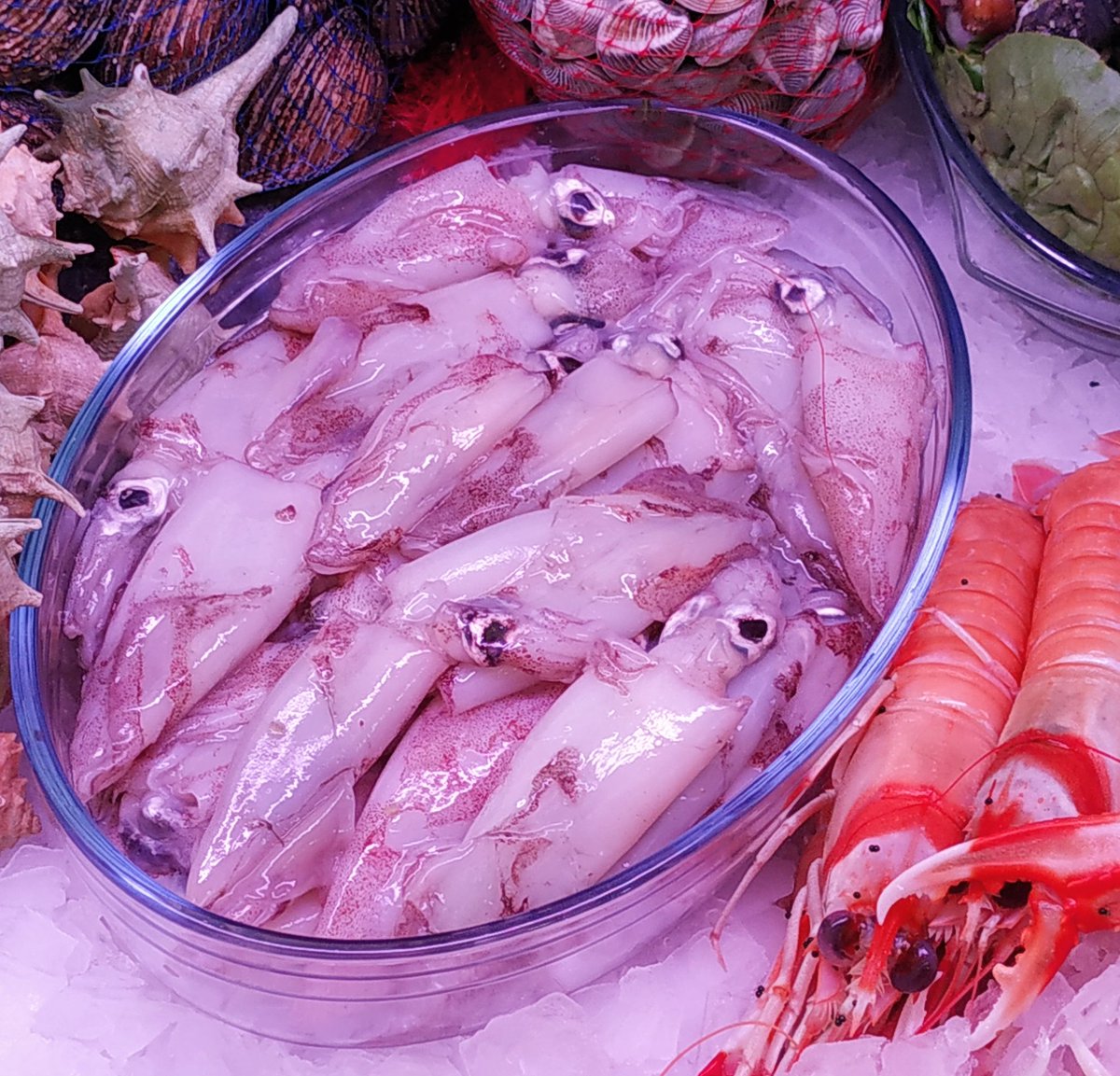 Impresionantes estos calamaritos de Motril!! Para plancha o fritos... <a href="/Gastrobellver/">Enrique Bellver</a> @anarufian <a href="/myguiadeviajes/">Fran Soler</a> <a href="/gourmetjournal/">The Gourmet Journal</a> <a href="/SobreGustos/">Jose Cabello</a> <a href="/AguaLeonor/">leonor garcia-agua</a> <a href="/ruedafer/">Fernando Rueda</a>