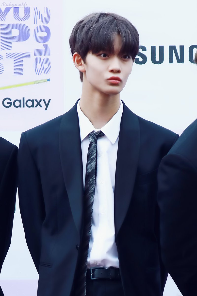BabyWolf🐺베이비울프 tweet media