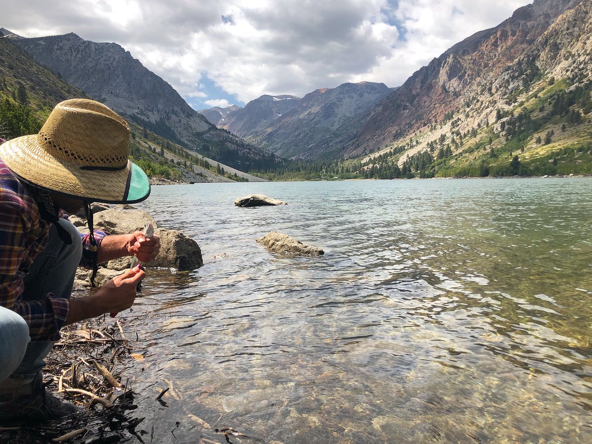 Caught an itty bitty fish the other day instagram.com/p/BnbcgOvhfIX/