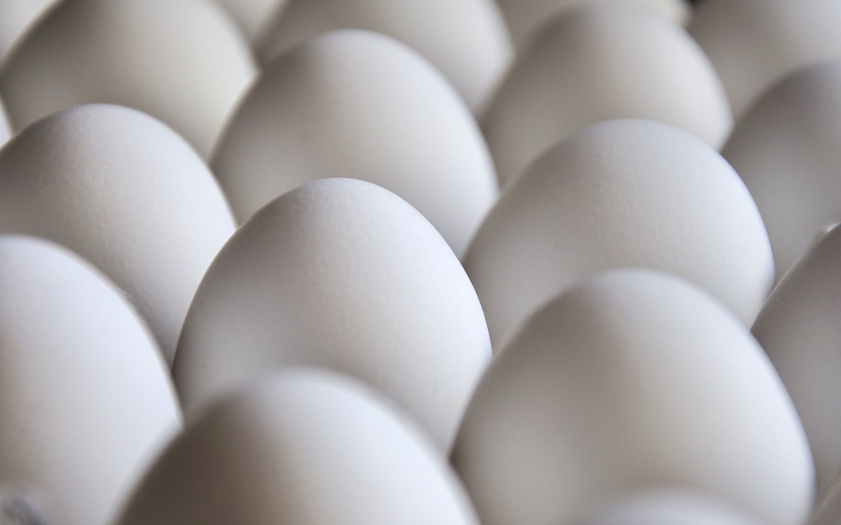 Ifst On Twitter Fresh Eggs Sink In Water And Rotten Eggs