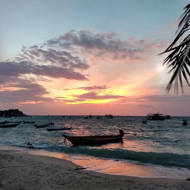 FvKlaveren's tweet photo. Nature has it's own way of rewarding you after a day of reef cleaning...#CoralGardening #artificialreef #artificialreefbuilder #KohTao https://t.co/zSrIOrH431 https://t.co/RI253OiG7H