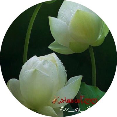 khlod_m30's tweet photo. #دعم_خاص
🌸🍃🌸🍃
،🔝⭐🔝⭐🔝⭐🔝
┊ ┊ ┊ ┊ ┊🔻⭐أناقہ
┊ ┊ ┊ ┊🔻⭐تميز
┊ ┊ ┊ 🔻⭐روعہ
┊ ┊ 🔻⭐ابداع
┊
#حساب_يستحق_المتابعه_والدعم 
🌸🍃🌸🍃🌸
👇👇👇👇👇
@as_as_100 https://t.co/bCjviOBjRX