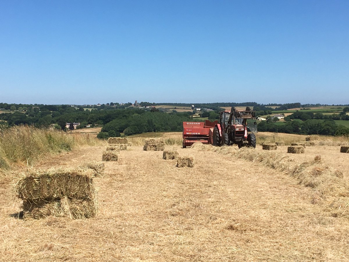 David Boughey tweet media