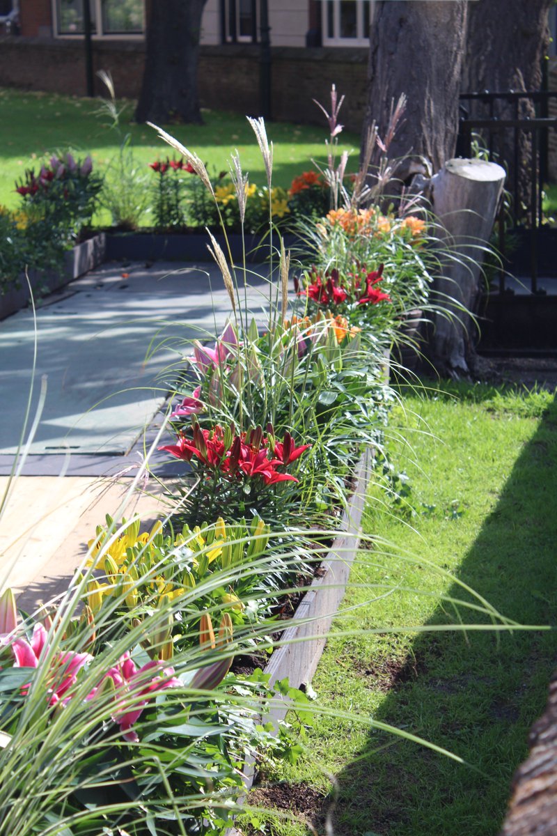 Deze ochtend wezen kijken bij de Nationale Zomerbloemententoonstelling en wat ziet het er weer super uit 👍🏻! Ook dit jaar mochten wij weer wat grassen sponsoren welke perfect aansluiten bij het thema 'Flower Power'. Grassen geven nu eenmaal een relaxte sfeer 😎

Peace out!
