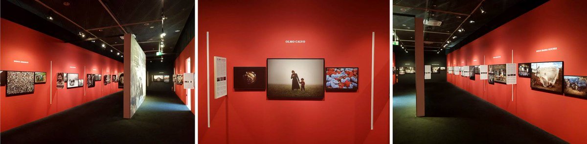 Si estáis por Barcelona os recomiendo visitar la exposición "Creadores de conciencia", organizada por Chema Conesa, Juan Manuel Catsro Prieto y <a href="/DKVSeguros/">DKV Salud (ES)</a>. 
Participamos 40 fotógrafas y fotógrafos
palaurobert.gencat.cat/es/exposicions…
<a href="/govern/">Govern de Catalunya</a> <a href="/UPIFC/">Sindicat Imatge UPIFC</a>